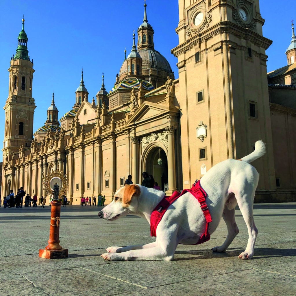 Pipper con la Virgen del Pilar