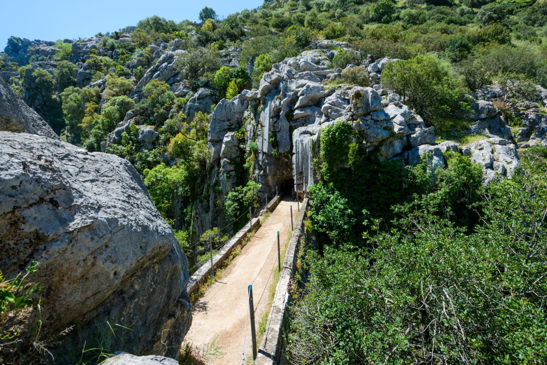 Cañón de Buitreras: un Monumento Natural con una palmera única en Europa