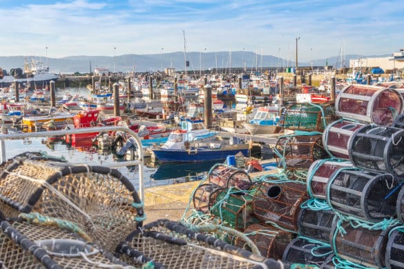 Un lugar donde se pesca basura: el problema de los residuos marinos
