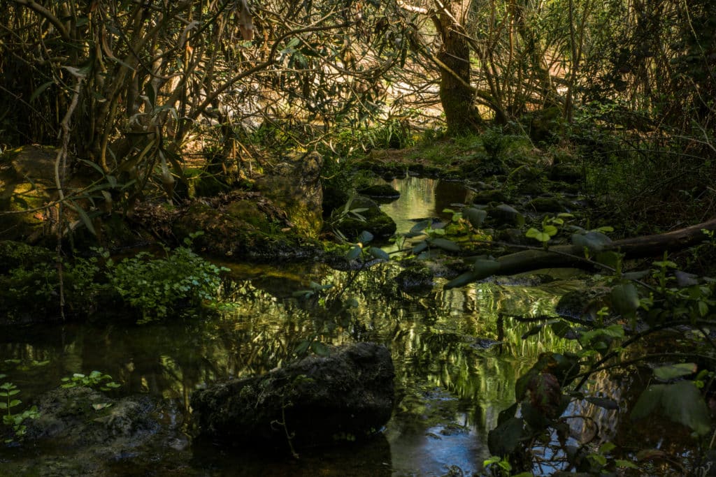 Río natural en el bosque naturaleza maravillosa, baños de popea Córdoba España