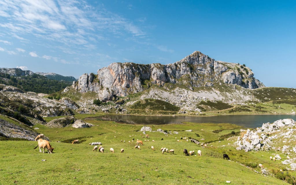 Ruta por los lagos de Covadonga: lago Ercina