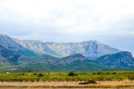 Ruta a Collado Jermoso desde Fuente Dé
