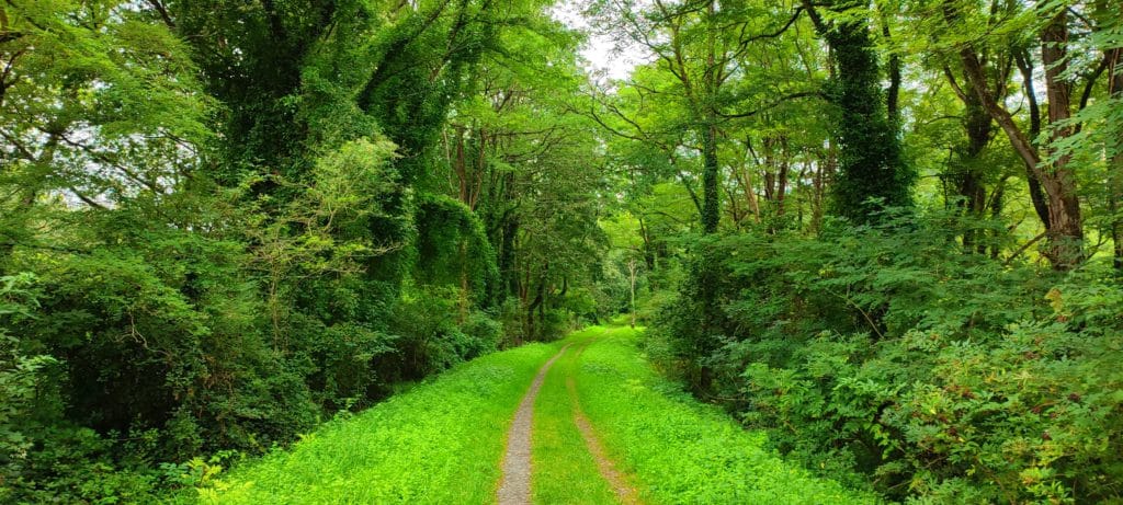 vía verde